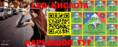 эйфоретик Абинск