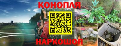 эйфоретик Абинск