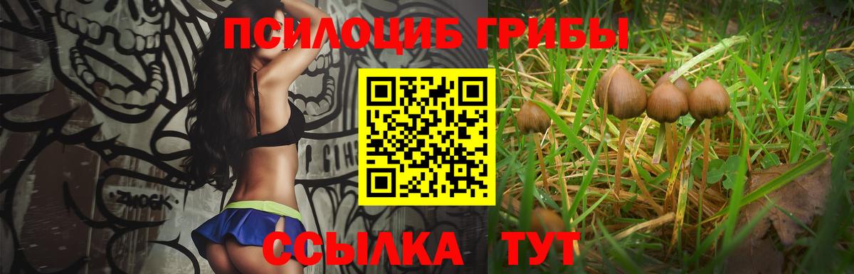 дарнет шоп  Галлюциногенные грибы Cubensis  Вход с VPN  Россия 