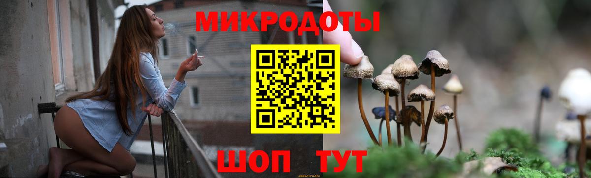 Псилоцибиновые грибы Magic Shrooms Россия